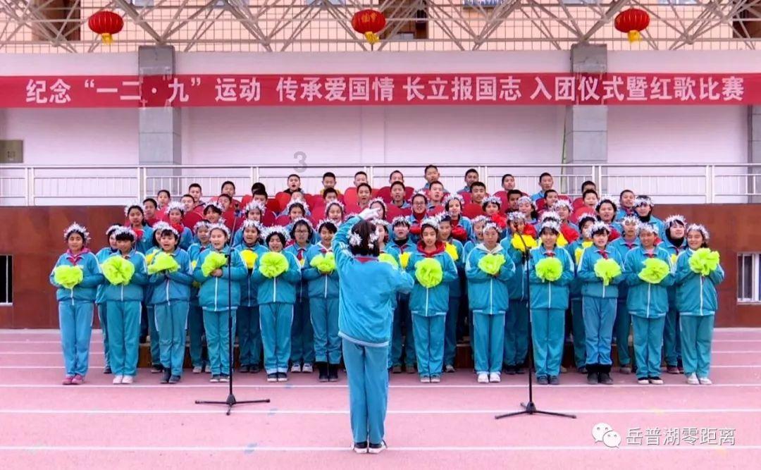逗小猴开心系列206